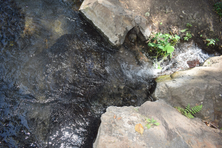 Forty Springs