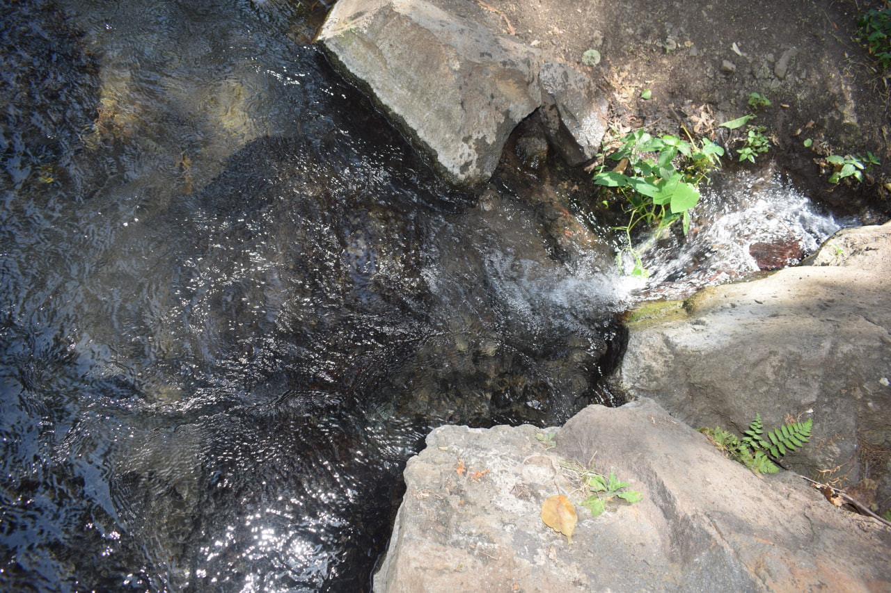 Read more about the article Forty Springs