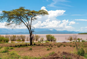 Read more about the article Lake Abaya