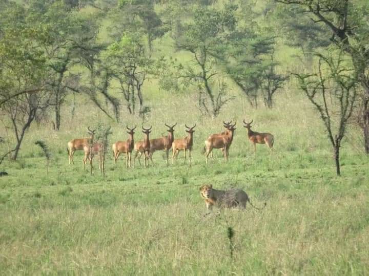 Read more about the article Maze National Park