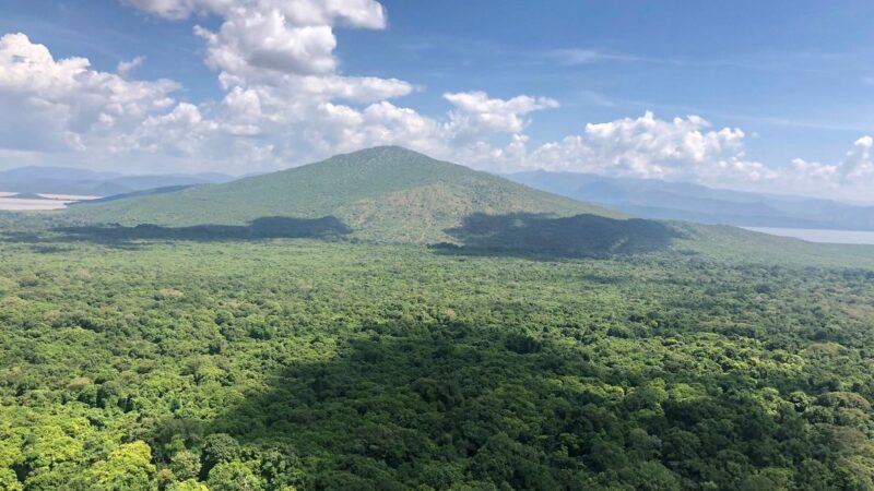 A View of Arba Minch forest, Ethiopia