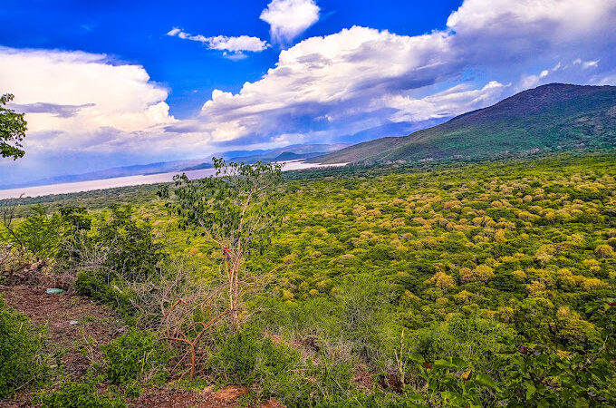 A View of Arba Minch forest, Ethiopia