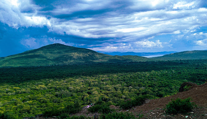 A View of Arba Minch forest, Ethiopia