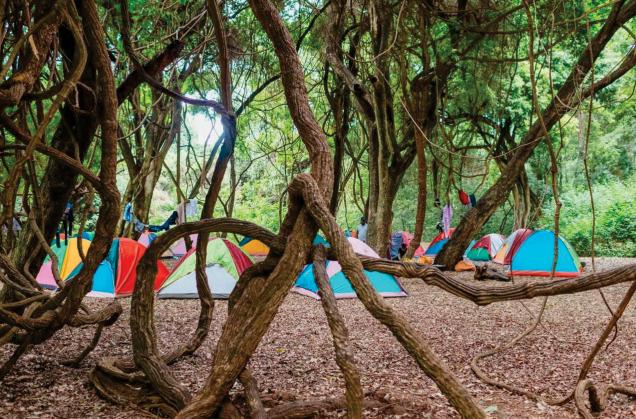 A View of Arba Minch forest, Ethiopia