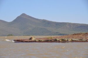 Read more about the article LAKE CHAMO
