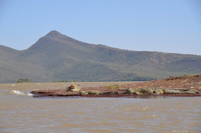 LAKE CHAMO