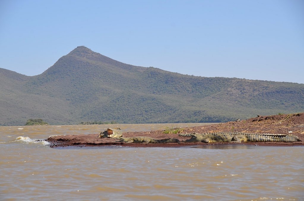 Read more about the article LAKE CHAMO