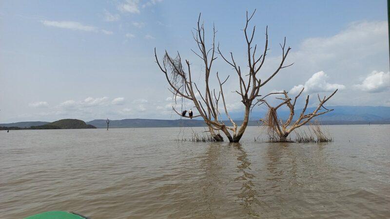 Image of Lake Chamo in Arba Minch, Ethiopia