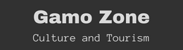 Footer Logo
