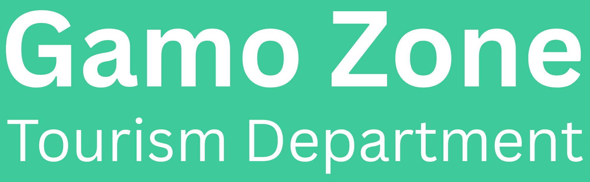 Footer Logo